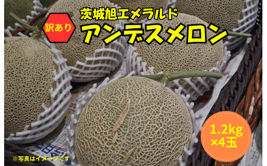 【訳あり】アンデスメロン 4玉（1.2kg×4）茨城旭エメラルド