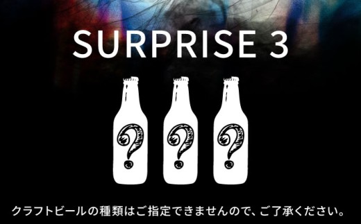 クラフトビール おまかせ3本セット SURPRISE 3[GRANDLINE BREWING] [AKGM005]