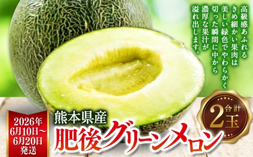熊本県産 肥後グリーンメロン 2玉  メロン くだもの 果物 フルーツ 【2026年6月10日より発送開始】