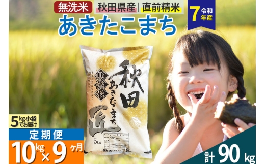 【無洗米】<令和7年産>《定期便9ヶ月》秋田県産 あきたこまち 匠 10kg (5kg×2袋) ×9回 10キロ お米