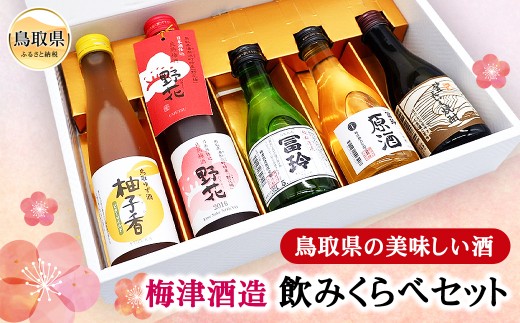 B25-030 鳥取県の美味しい酒 梅津酒造飲みくらべセット 2066195 - 鳥取県鳥取県庁