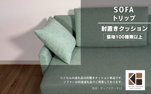 小クッション【張地100種類以上】（トリップ）　J038