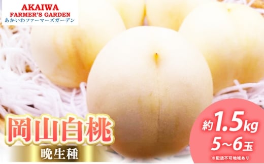 桃 2026年 先行予約 岡山の 白桃 (晩生種) 約1.5kg 5～6玉 もも 岡山県 赤磐市産 フルーツ 果物 あかいわファーマーズガーデン