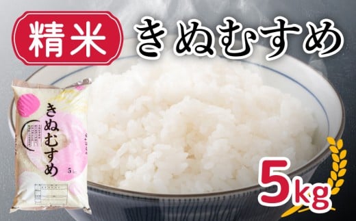新米 きぬむすめ 5kg 精米  米 お届け回数1回  お米 白米 直前精米 精米したて ごはん おいしいお米 こめ おこめ 直前精米 やまだ農園 5キロ 豊田町 下関 山口 【10月以降発送】