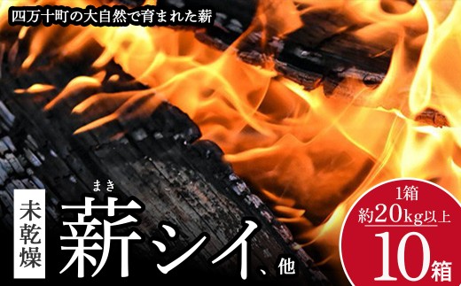 四万十の薪 未乾燥 シイ他(20kg以上)×10箱 Bnm-23  四万十の薪 未乾燥 キャンプ 薪ストーブ ストーブ 薪割り 割り薪 まき 乾燥 済 アウトドア キャンプ ファイヤー 焚き火 焚火 森林 林業 木 サウナ