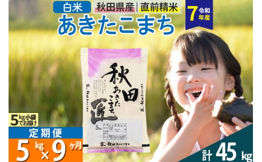 【白米】<令和7年産> 《定期便9ヶ月》秋田県産 あきたこまち 匠 5kg (5kg×1袋)×9回 5キロ お米