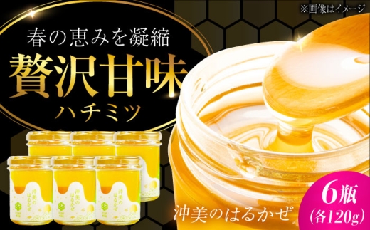 江田島産100％ はちみつ 沖美のはるかぜ120g×6本セット ハチミツ 蜂蜜 国産 広島 江田島