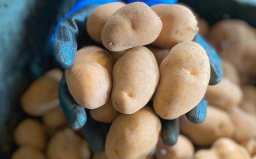 【新じゃが】インカのめざめ(混合) 18kg