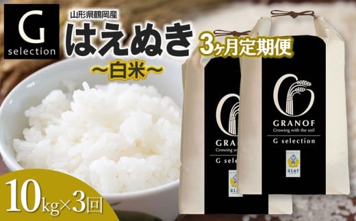 【令和7年産】【新米】【定期便3ヶ月】 Gセレクション はえぬき「精米」 10kg (5kg×2袋)×3ヶ月 山形県鶴岡市産　株式会社グラノフ