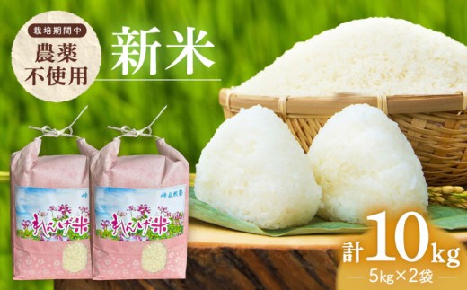 【令和7年度米】栽培期間中農薬不使用 農家のおいしいお米 10kg（5kg×2袋）【浅田峠自然塾】 [EA05] 