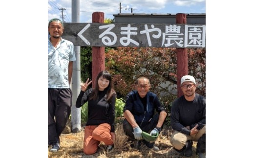 【フルーツ王国直送！】山形の大玉すいか（羅皇ザ・スウィート）１個　0033-2603