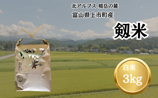 【令和7年産】上市町産コシヒカリ「剱米」（白米）3kg　 [ソムリエH 富山県 上市町 32280236-r6-02] 　お米 コメ ご飯 ごはん ご飯 ごはん こしひかり 2305390 - 富山県上市町