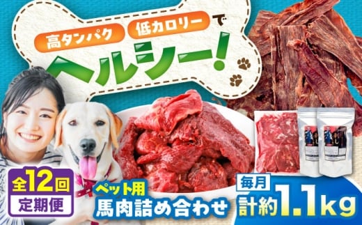 【全12回定期便】詰め合わせ 国内加工 ペット用 馬肉 切り落とし 約1kg ペット用 馬刺しジャーキー 約100g(約50g×2) / ペットフード ドッグフード 愛犬 馬肉【五右衛門フーズ】 [BHCY068] 2346189 - 熊本県菊陽町