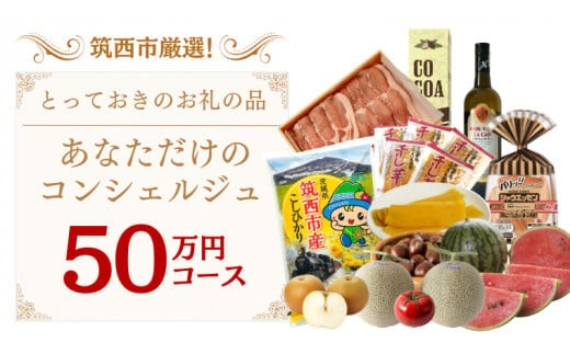 筑西市厳選！ とっておきのお礼の品  あなただけの コンシェルジュ 50万円 コース オーダーメイド サービス [ZZ020ci]