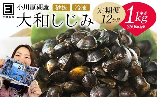 【 12ヵ月定期便 】砂抜き済みで手間いらず!冷凍・小川原湖産大和しじみ1kg(250g×4袋) 【02408-0091】 1564985 - 青森県東北町