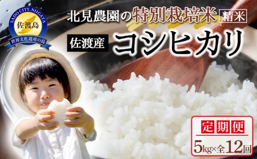 【令和7年産】＜米 定期便 全12回＞北見農園の特別栽培米 佐渡産コシヒカリ（5kg×全12回）農家自慢の逸品 精米