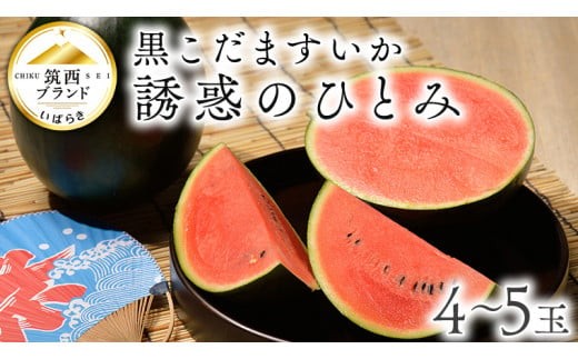 【 JA北つくば 】 黒こだますいか 「 誘惑のひとみ 」 4〜5玉 2026年産 スイカ 果物 フルーツ 小玉スイカ 小玉 西瓜 くだもの デザート 茨城 [AE004ci]