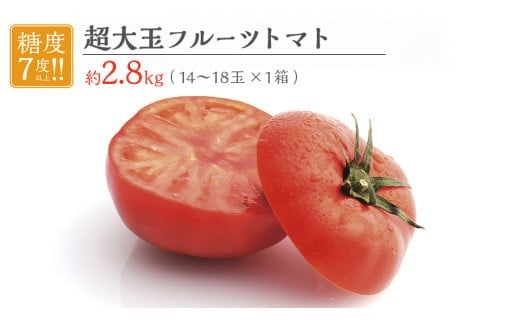 超大玉 フルーツトマト 大箱 約2.8kg × 1箱 【14～18玉/1箱】 2026年産 糖度7度 以上 野菜 フルーツ トマト とまと [AF008ci]