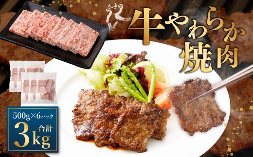 牛やわらか焼肉 500g×6パック 計3kg 焼肉 焼き肉 牛 肉牛 冷凍 熊本県 あさぎり町