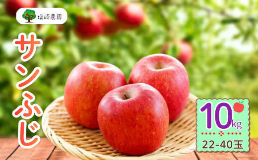 【先行予約】サンふじ 約10kg (22〜40玉)(2025年12月上旬から発送)りんご サンふじ 限定  直送 好評 (7-A41-3)
