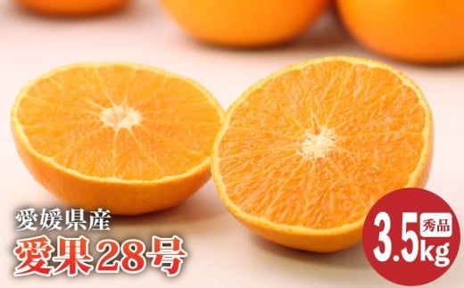 【2025年12月中旬より発送】愛媛県産 愛果28号 秀品 約3.5㎏ | あいか 愛果 みかん 高級 ギフト 贈り物 蜜柑 柑橘 数量限定 愛媛県 松山市 田那部青果