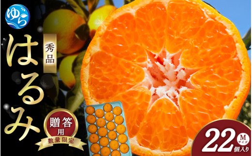 【来シーズン先行予約】はるみ 和歌山みかん 秀品 Mサイズ 22個入り 贈答用※2026年1月中旬頃に順次発送予定 / はるみ 柑橘 贈り物 フルーツ 果物 くだもの 食品 人気 おすすめ 送料無料 由良町【ksmt013】 2068910 - 和歌山県由良町