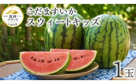 【 JA北つくば 】 こだますいか 「 スウィートキッズ 」 1玉 2026年産 小玉すいか 小玉 すいか スイカ 果物 フルーツ ピノガール 西瓜 くだもの デザート 茨城 [AE057ci]
