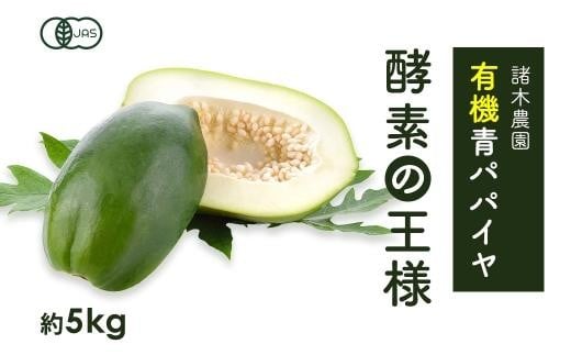【期間限定】鹿児島県産有機青パパイヤ　約5kg（5～10玉）