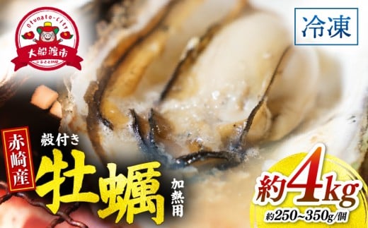 牡蠣 赤崎産 冷凍 殻付き 牡蠣 4kg 三陸産 カキ かき 加熱用 カンカン焼き ガンガン焼き 蒸し牡蠣 真牡蠣 BBQ 浜焼き バーベキュー 新鮮 海鮮 魚介 国産 取り寄せ グルメ 急速冷凍 kaki 岩手 大船渡 岩手県 大船渡市 