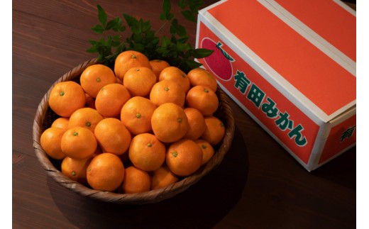 採れたて甘い手摘み有田みかん 10kg S~Lサイズ不揃い