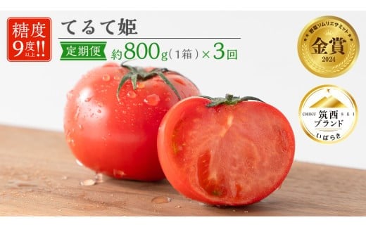 【 先行予約 】【 3ヶ月 定期便 】 てるて姫 小箱 約800g × 1箱 【7〜13玉/1箱】 2026年産
 糖度9度 以上 野菜 フルーツトマト フルーツ トマト とまと [AF052ci]