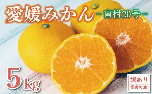 [先行予約 訳あり] みかん 5kg 愛媛みかん 南柑20号 8000円 規格外 傷 不揃い ご家庭用 濃厚 甘い 完熟 蜜柑 こたつ 冬 果物 柑橘 ゼリー ジュース フルーツ ビタミンC 健康 美容 農園 直送 国産 期間限定 数量限定 エニシトラス 愛媛県 愛南町 2025年 2026年
