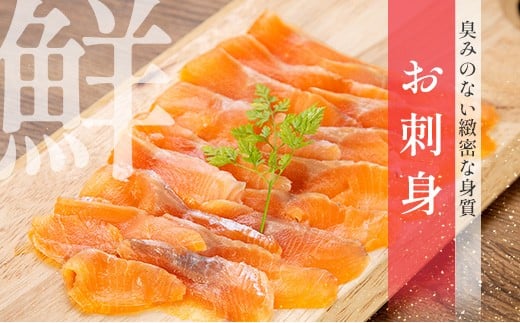 広島県北広島町のふるさと納税 ★11月3日までの期間限定寄附額★ サーモン 芸北サーモン フィレ 約600g 山育ち 刺身 生食 国産 皮つき 骨取り 11/4以降寄附額改定予定_OG065_002