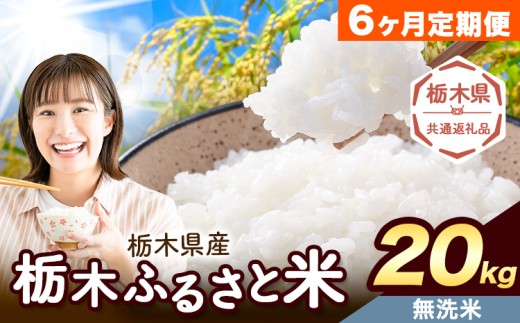 【6ヶ月定期便】米 栃木 ふるさと米 無洗米 20kg (5kg×4袋)《翌々月より出荷開始》栃木県 野木町 米 国産 お米 おこめ お弁当 おにぎり【栃木県共通返礼品】