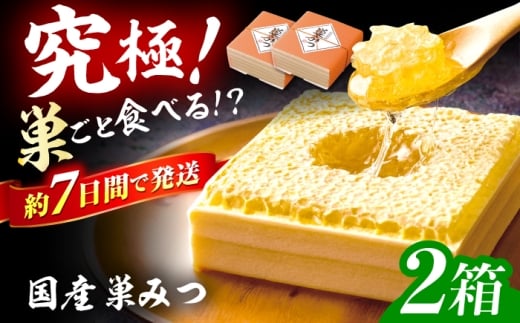 国産巣みつ 600g(300g×2個) 蜂蜜 はちみつ ハチミツ コムハニー 極上 濃厚  蜂蜜 グリークヨーグルト アサイーボウル パンケーキ ソフトクリーム オシャレ 人気 朝食 デザート 巣みつ スピード配送 広川町 / 株式会社九州蜂の子本舗 [AFAI005]