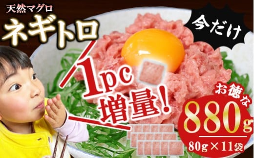 今だけ増量!ネギトロ (まぐろたたき) 880g (80g ×11袋) セット小分け 天然まぐろ ネギトロ ねぎとろ ネギトロ丼 手巻き寿司 軍艦 寿司 まぐろたたき 天然 まぐろ マグロ 冷凍 魚介 海鮮 トロ 鮪 人気 返礼品 三重県 尾鷲市 CH-116