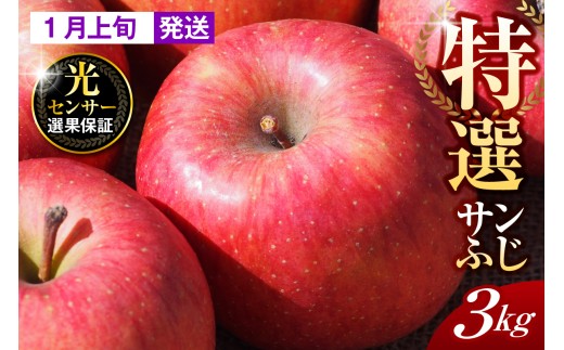 【2026年1月上旬発送】【特選】りんご 約3kg サンふじ 青森 五所川原