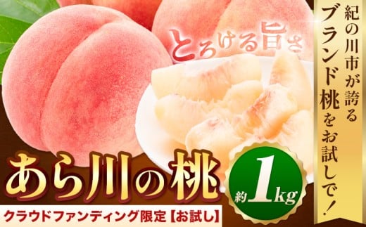 桃【アフター保証付】トロっと とろける旨さ ブランド桃 あら川の桃 約1kg《2026年6月中旬-8月中旬頃出荷》【一部配送不可地域あり】寄附の使い道は「クラウドファンディング」を選択してください。