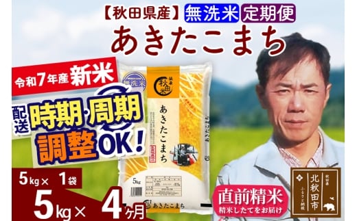 ※令和7年産 新米※《定期便4ヶ月》秋田県産 あきたこまち 5kg【無洗米】(5kg小分け袋) 2025年産 お届け時期選べる お届け周期調整可能 隔月に調整OK お米 みそらファーム