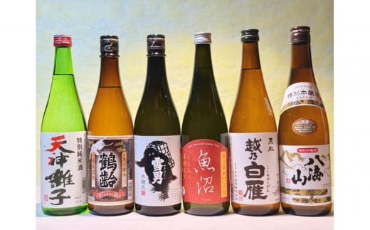 心も温まる雪国越後のお燗酒(720ml×6本) 2348726 - 新潟県新潟県庁