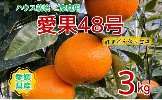 【2026年3月発送予定】訳あり 愛果48号 3kgご家庭用 農園直送 みかん 愛媛 人気 数量限定 先行予約 柑橘 伊予市|B444