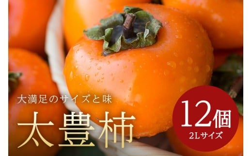 【 2025年 先行予約 】 太豊柿 2L 12玉 （鈴木柿園） 柿 甘い柿 糖度高い 太豊かき 大玉 カキ 甘い 果物 フルーツ くだもの かき 秋 旬 甘柿 贈答用 贈答品 ギフト 贈り物 品種 ブランド 発送 産地直送 農家直送 産直 茨城県 石岡市 (A08-007) 2087069 - 茨城県石岡市