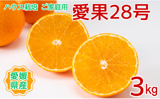 みかん 愛果28号 3kg ご家庭用 紅まどんなと同一品種 農園直送 先行予約 【12月上旬から順次発送予定】 愛媛 数量限定 愛媛県産 人気 柑橘 国産 フルーツ 伊予市|B443