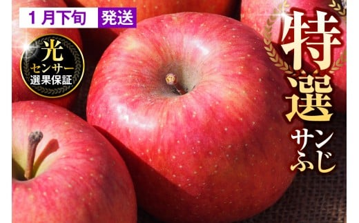 【2026年1月下旬発送】【特選】りんご 約5kg サンふじ 青森 五所川原