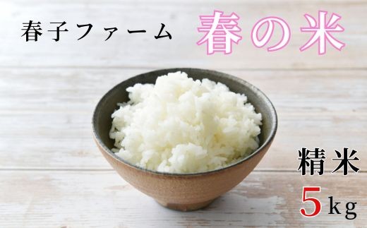 《令和7年産》春の米　精米　5kg ／ 米 お米 こめ コメ ごはん 無農薬 農薬不使用 春の米 精米 白米 令和7年産 新米 5kg 千葉県 東庄町 春子ファーム 産地直送 産直 送料無料 2002747 - 千葉県東庄町