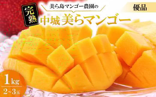 ＜2026年6月から順次発送・白箱＞美ら島マンゴー農園の完熟中城美らマンゴー優品1kg(2～3玉)【1672801】