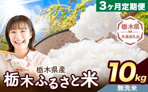 【3ヶ月定期便】米 栃木 ふるさと米 無洗米 10kg (5kg×2袋)《翌々月より出荷開始》栃木県 野木町 米 国産 お米 おこめ お弁当 おにぎり【栃木県共通返礼品】