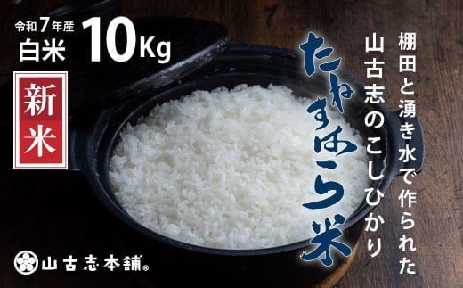 G3-7K10旧山古志村のこしひかり「たねすはら米」白米10kg（新潟県産コシヒカリ）