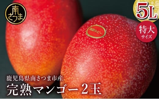 【数量・期間限定】 鹿児島県産 完熟マンゴー  5L 2玉 ＜2026年 先行受付＞ 贈答品用 ギフト オリジナル白箱入り アップルマンゴー アーウィン種 果物 フルーツ 国産 鹿児島県南さつま市金峰町産 東口農園 南さつま市