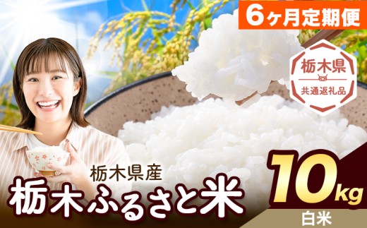 【6ヶ月定期便】米 栃木 ふるさと米 白米 10kg (5kg×2袋)《翌々月より出荷開始》栃木県 野木町 米 国産 お米 おこめ お弁当 おにぎり【栃木県共通返礼品】